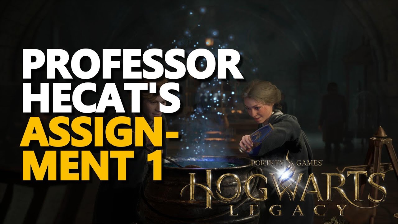 professor hecat assignment 1