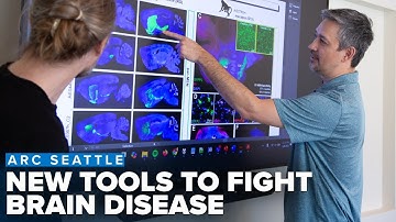 How new biological tools are changing the game in the battle against brain disease