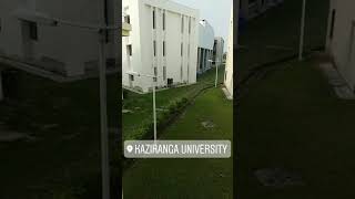 #Assam #Jorhat #Kazirangauniversity #MyWorkplace #Viewfrommyroom
