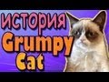 История сварливого (грустного) кота. Grumpy Cat