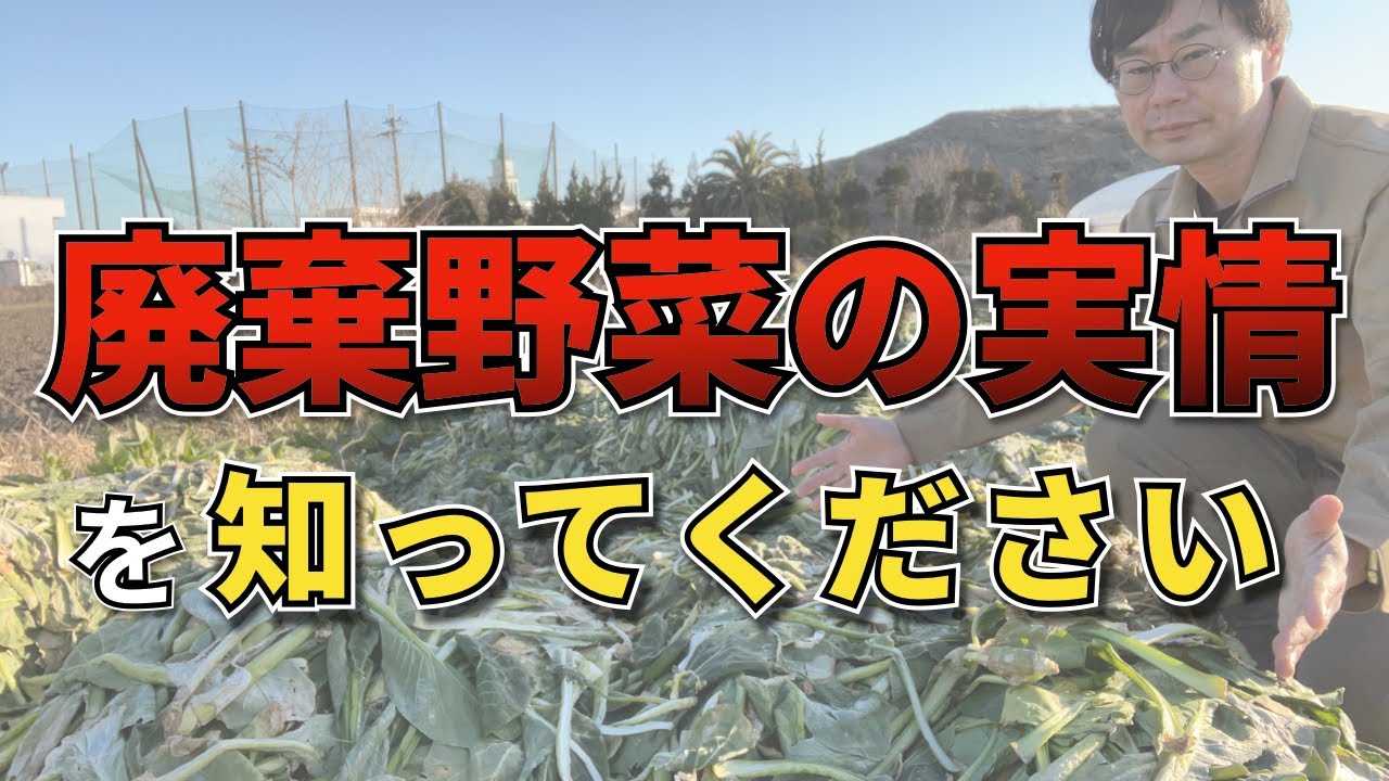 Learn about the current situation regarding discarded vegetables