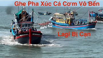 Đoàn Ghe  pha xúc trúng cá tại cửa biển lagi :hãy .like. đăng ký.ủng hộ kênh