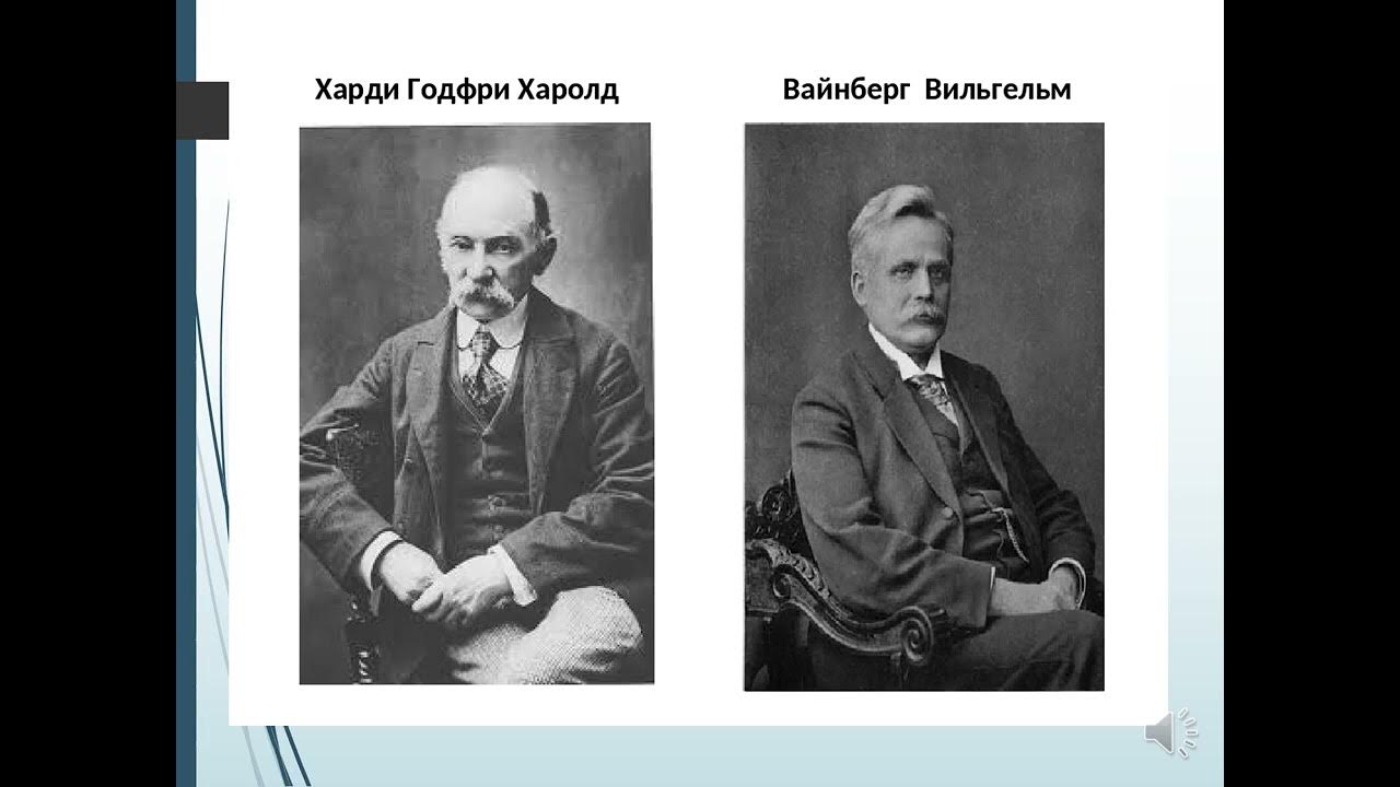 Харди математик. Харди Вайнберга. Вайнберг биолог. Г Харди и в Вайнберг.