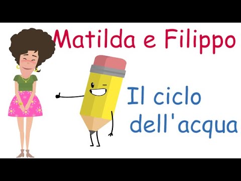 Il ciclo dell'acqua