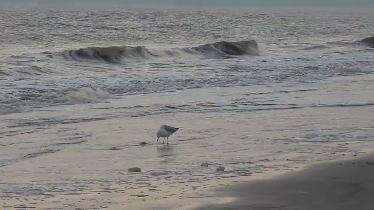 Talk Thursday by Debra Cox - Make Family Memories With Extended Family!