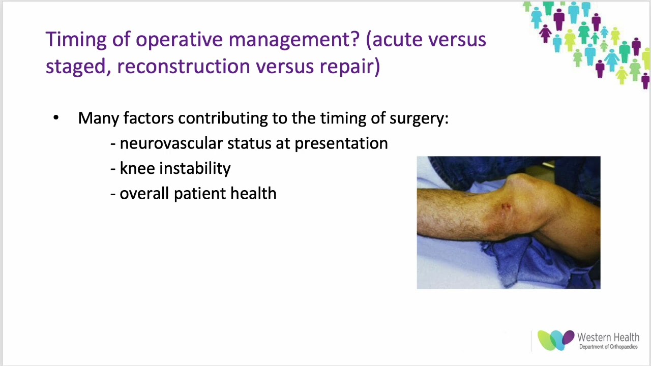 Medial Collateral Ligament Of The Knee - Everything You Need To Know - Dr.  Nabil Ebraheim 