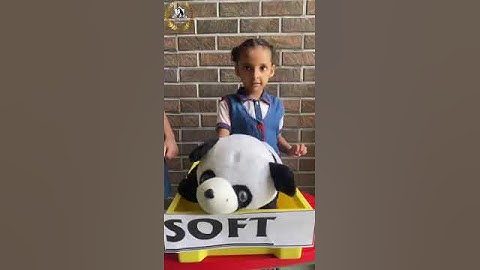 Exploring Texture Recognition