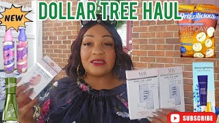 Dollar Tree Haul : Road Trip & Local New Arrivals