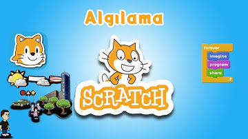 4 - Scratch ile Blok Tabanlı Kodlama - Algılama Kod Blokları