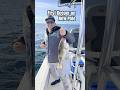 Nice Bass on New Pole