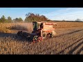 Case 1660 Soybean Harvest