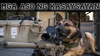 Mga nakakabilib na aso sa kasaysayan | (Wonderdogs) by Doggyloverph 349 views 3 years ago 10 minutes, 52 seconds