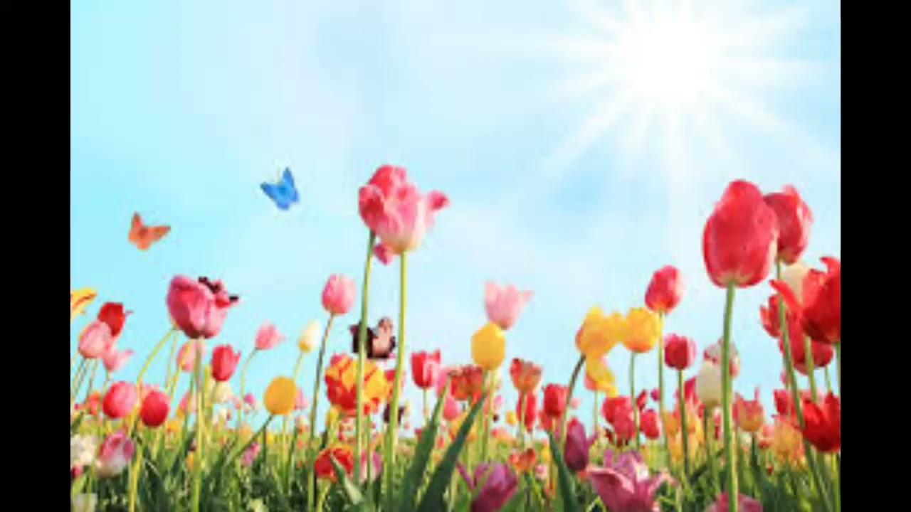 MARK KMOPFLER  2026 , viedais ciems ugales radio . Untitled 1