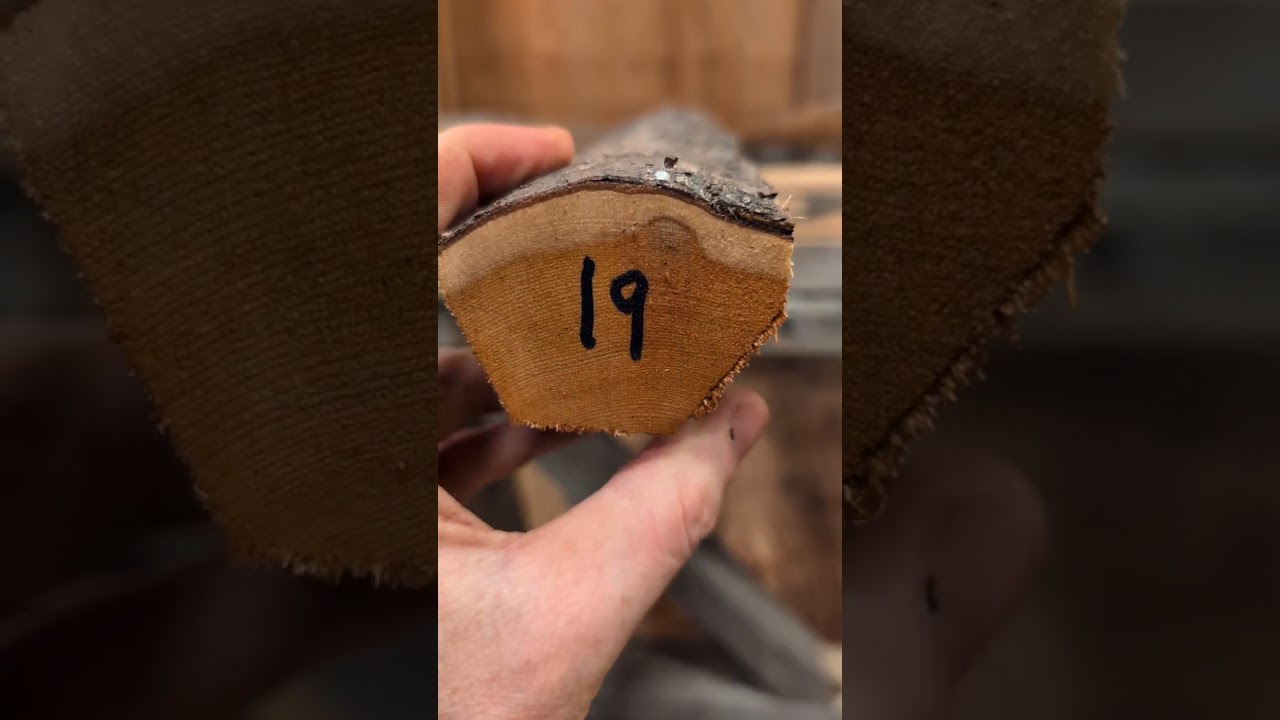 Yew Staves #2 - January 21, 2026