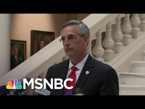 Georgia Secretary Of State Assures Election Process Will Be 'Open And Transparent' | MSNBC