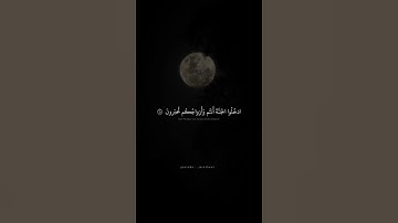 الذين آمنوا بآياتنا وكانوا مسلمين | محمد صديق المنشاوي | سورة الزخرف