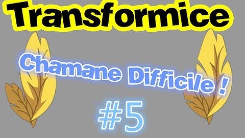 [Transformice] Technique - Chamane Difficile #5 !