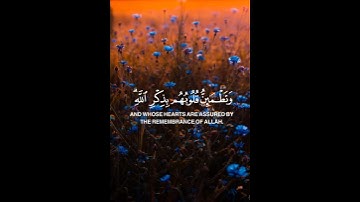 ألا بذكر الله تطمئن القلوب 🤍💙 #القرآن_الكريم #آيات #allahuakbar
