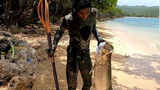 Catch N Cook | Spearfishing  30lb Tarpon, Snook and Snapper