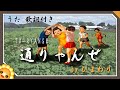 通りゃんせ byひまわり🌻×4/歌詞付き【日本の歌百選】わらべうた|To-ryanse