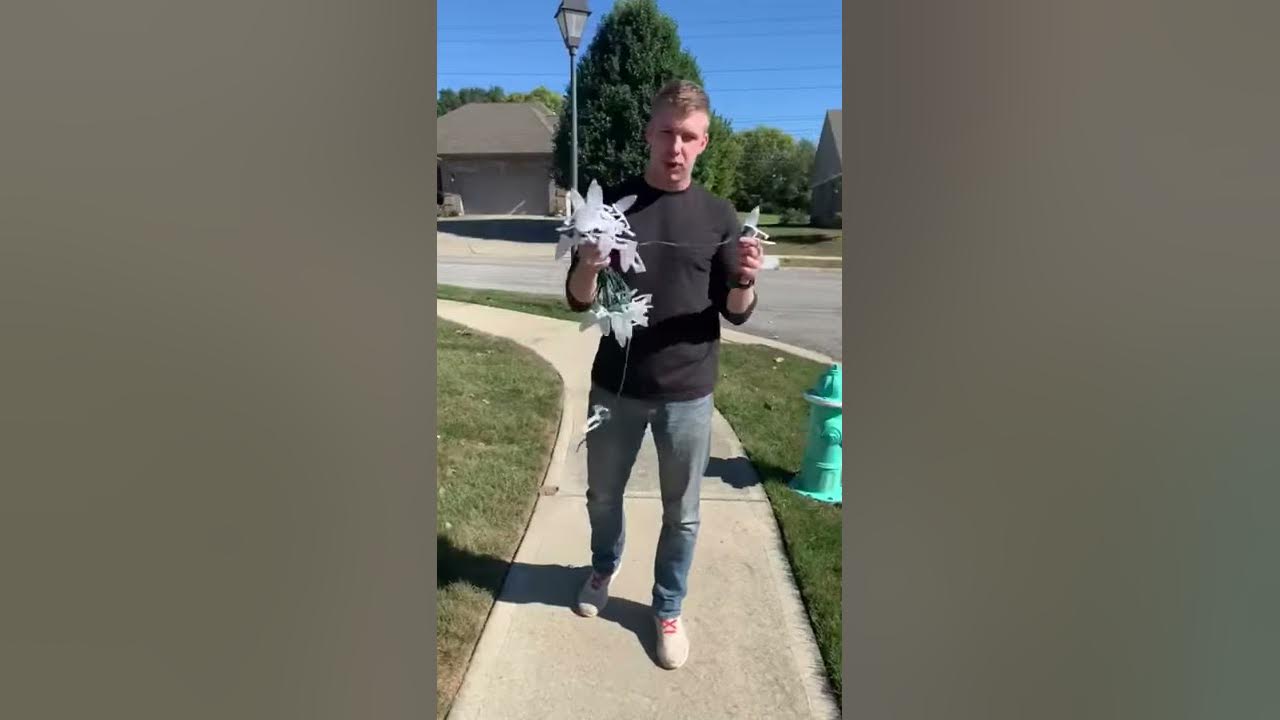 How to hang c9 LED lights like a pro clipping strand on ground for