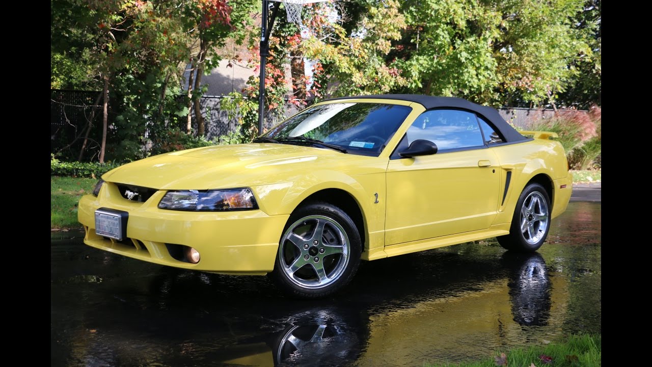 Review Walk Around 2001 Mustang Svt Cobra Convertible For Zink Review Walk Around 2001 Mustang Svt Cobra Convertible For Zink Yellow Original Owner Like New
