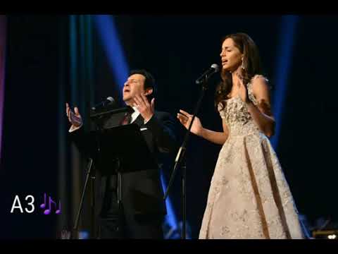 انغام وهاني شاكر