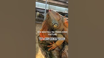 Nghỉ Lễ Giỗ Tổ Hùng Vương