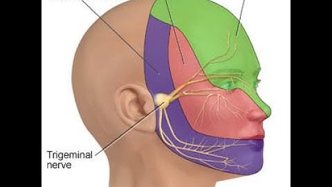 My frontal nerve block anasthesia for hair transplant
