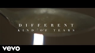 Video thumbnail of "Sully Erna - Different Kind of Tears"