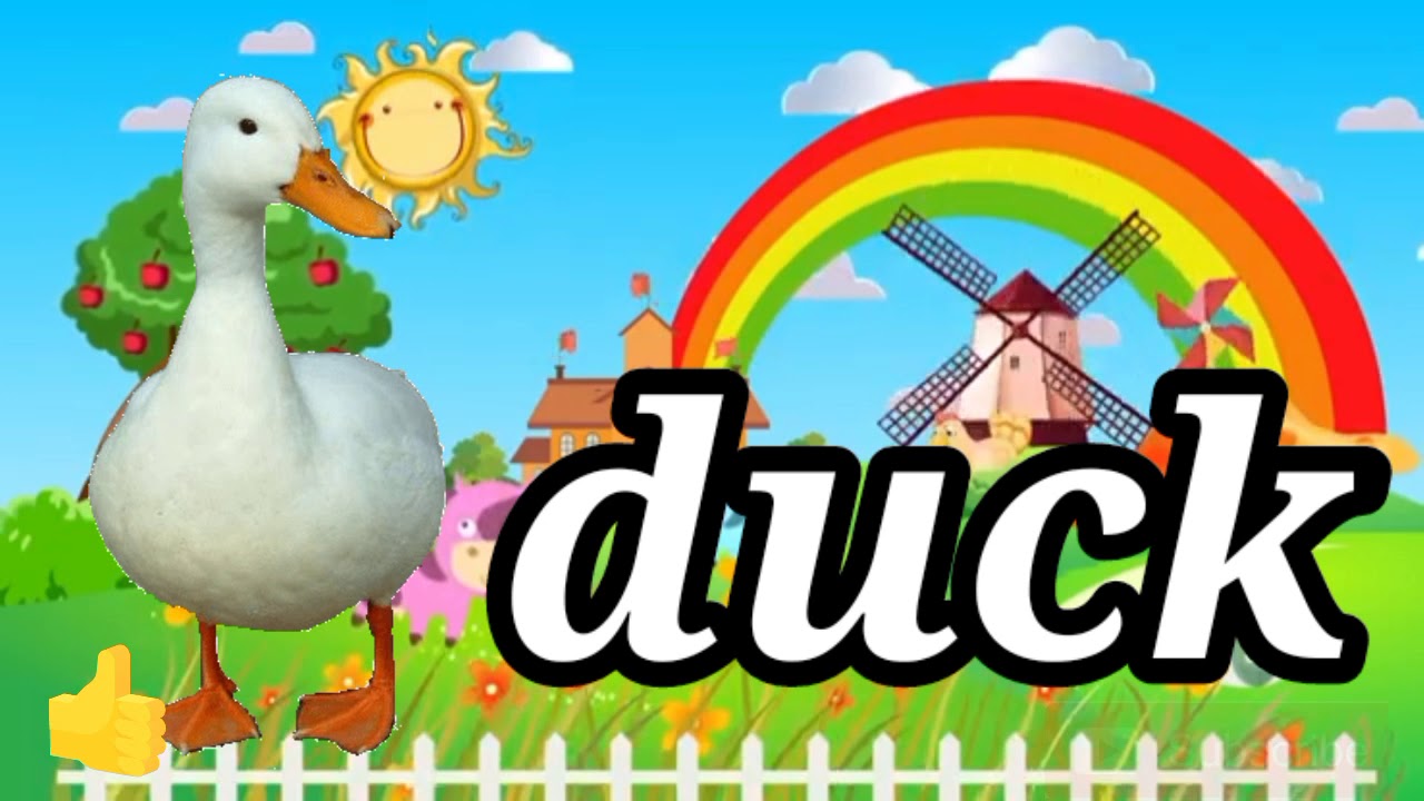 Letter Dd with Jolly Phonics song. (Phase 2Jolly Phonics c,k,e,h,r,m