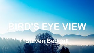 Bird's Eye View - Steven Beddall