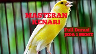 🔴MASTERAN KENARI FULL NEMBAK JEDA 1-3 MENIT SUARA JERNIH