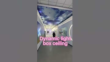 dynamic light box ceiling