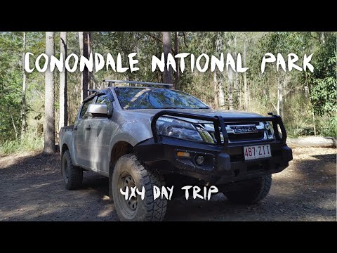 Conondale National Park, Booloumba Falls, Kenilworth & Maleny 4x4 Day Trip
