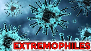 Celebrity Unlocking the Hidden Powers of Extremophiles🦠 Net Worth