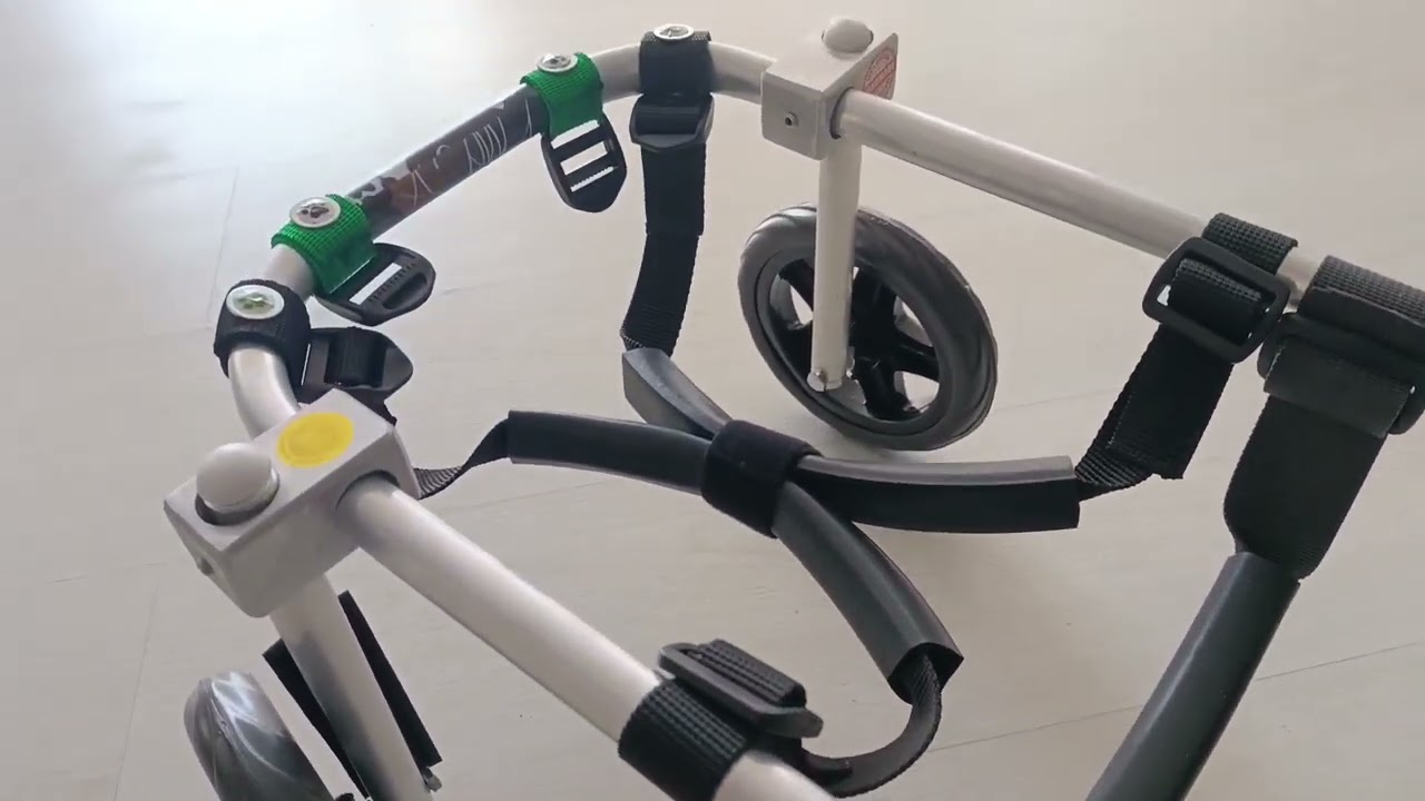 Αναπηρικά αμαξίδια για υπερηλικα σκυλακια από την κτηνιατρική ομάδα της Pet Mobility