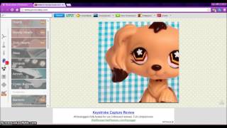 LPS: Icon Tutorial screenshot 5