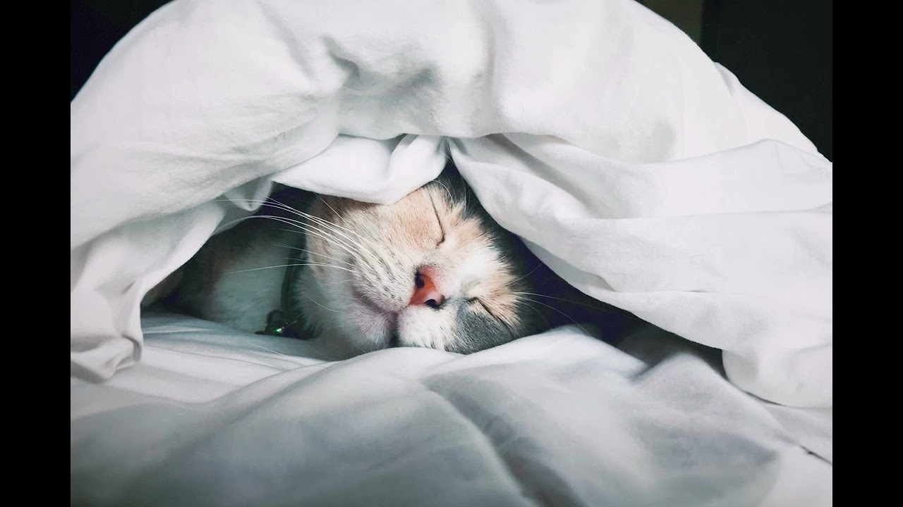 Bedtime Gratitude Practice