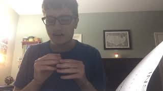 Constructing the Iron Dragon Nanocoaster Model