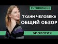 Ткани человека. Полный обзор 8 класса | Биология TutorOnline