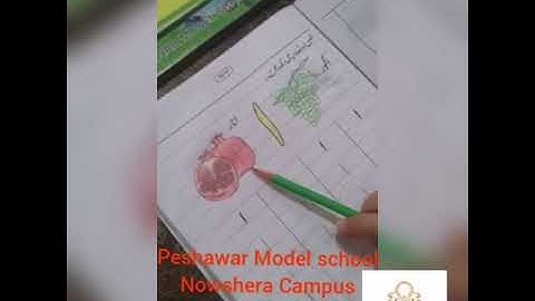 PMS NSR Lecture No.1 Urdu Grade PREP