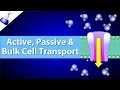 Cell Membrane Transport Mechanisms Explained