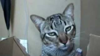 DSCF5093.AVI
