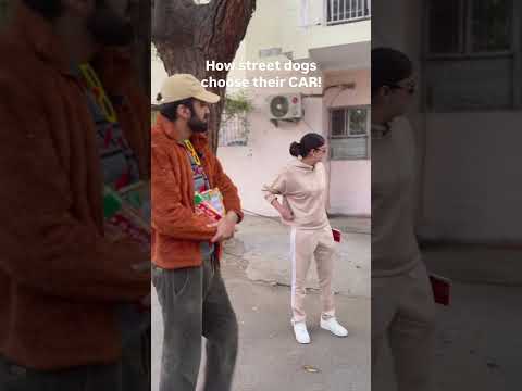 To-let! #comedy #sketchcomedy #relatable #gurleenpannu