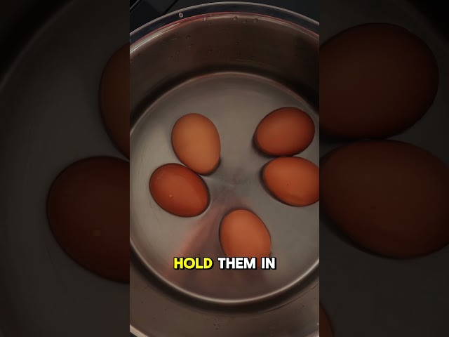 Traditional Easter Egg Dyeing: A Step-by-Step Guide!