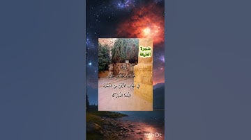 سورة القصص الآية ٣٠
