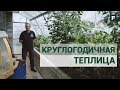 Круглогодичная теплица внутри гаража. Своими руками // FORUMHOUSE