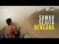 Sawah sejuta bencana  ekspedisi indonesia biru 49