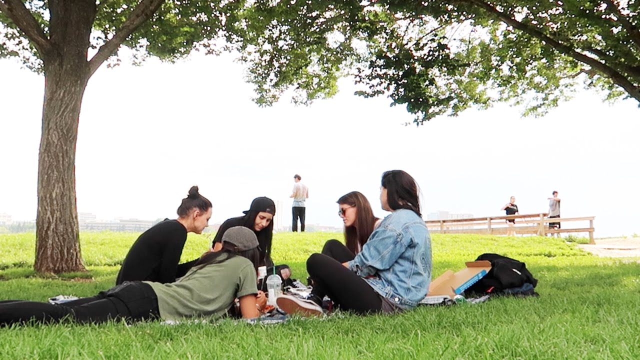 PICNIC IN THE PARK YouTube